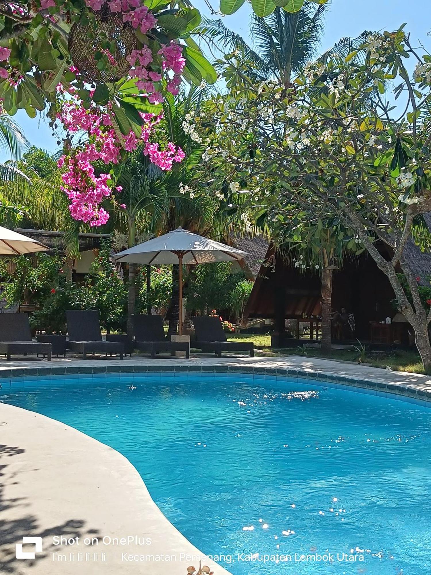 Lucy's Garden 3* Gili Air